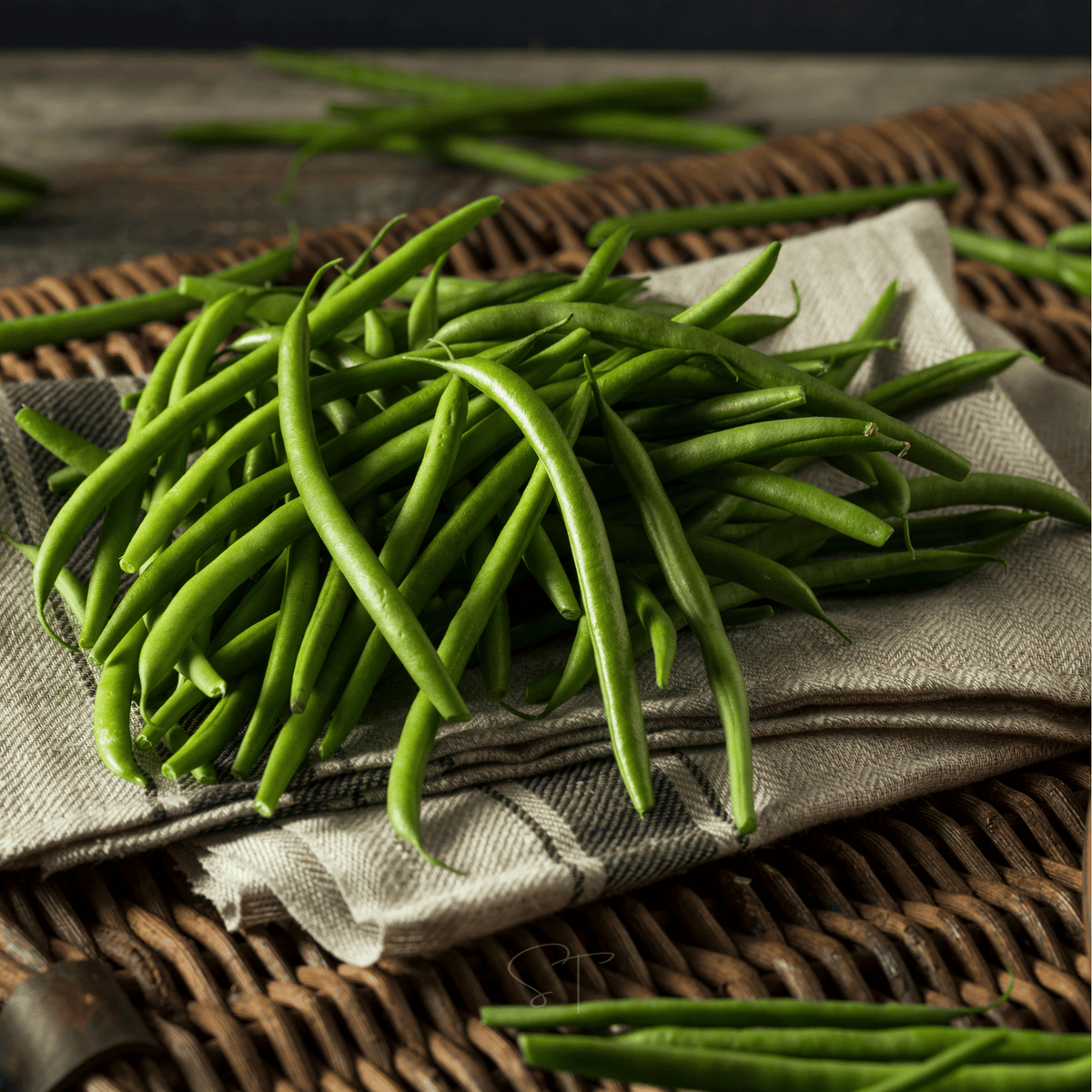 Blue Lake Bean (Pole) – 50 Seeds