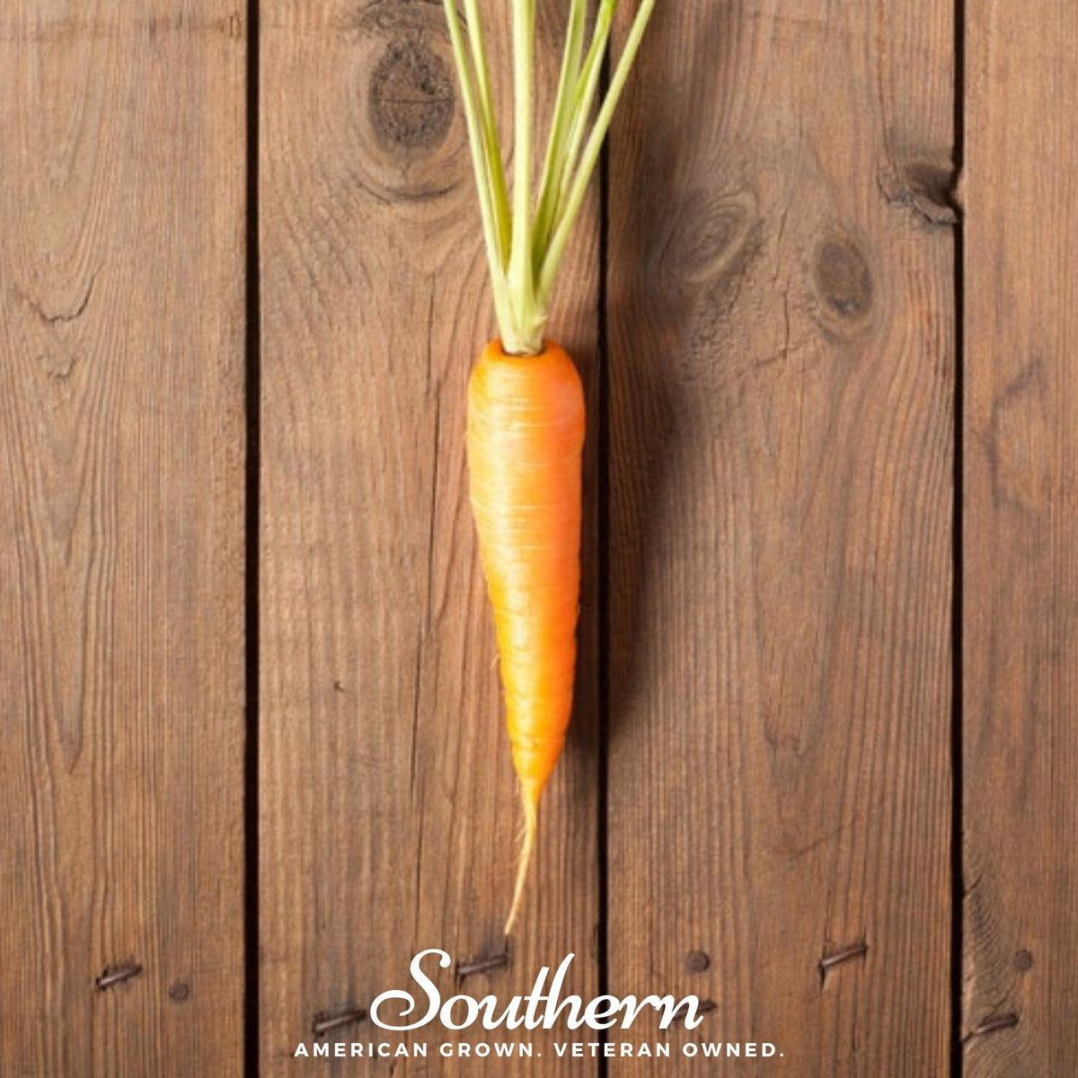 Scarlet Nantes Carrot – 250 Seeds