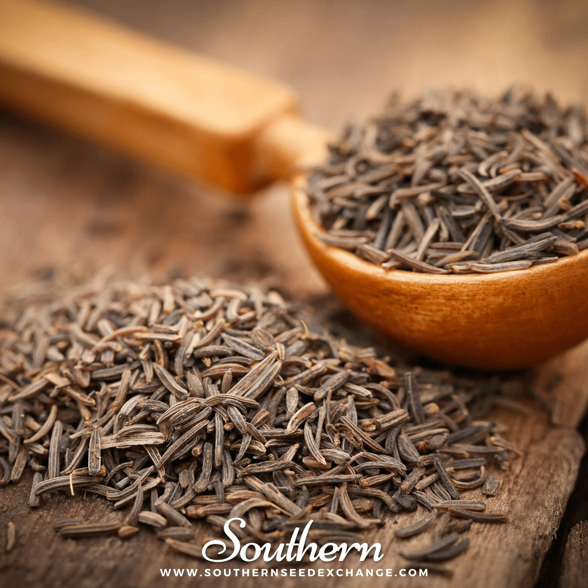 Cumin – 100 Seeds