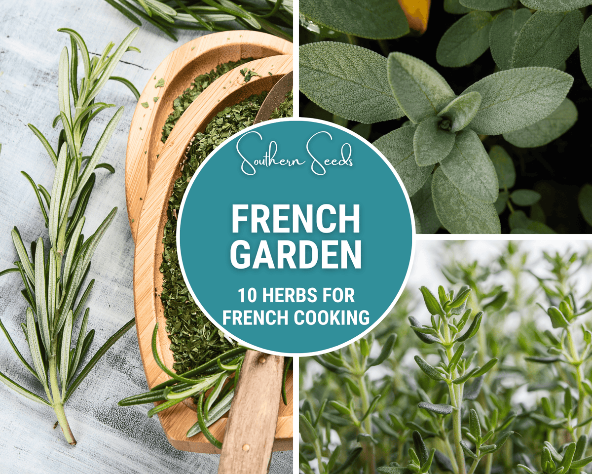 French Garden Seed Collection – 10 Varieties