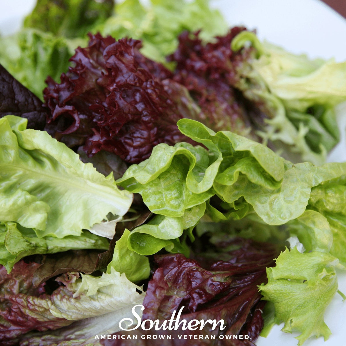 Mesclun Mix Lettuce – 500 Seeds