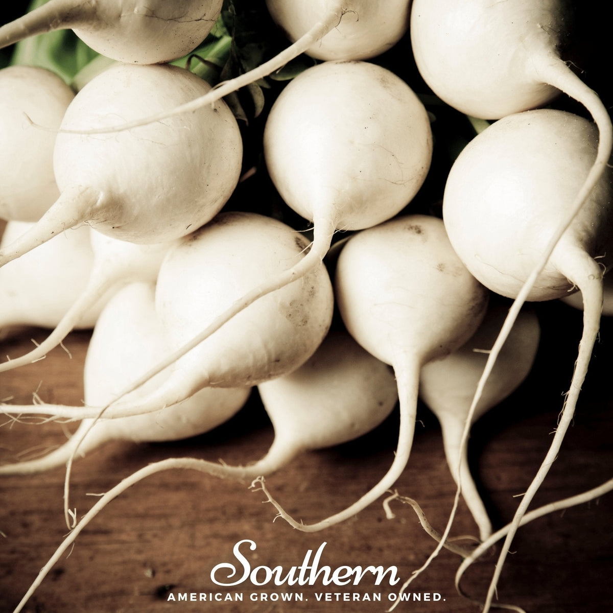 Hailstone Radish – 100 Seeds