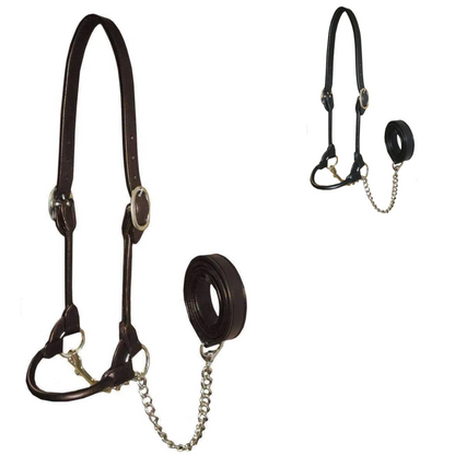 Derby Originals Rolled Leather Cattle Show Halter – Adjustable Fit with 48" Lead and 14" Chain, Small/Medium/Large – 1-Year Warranty