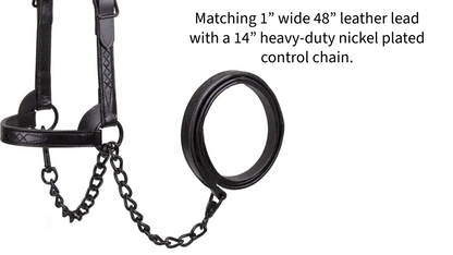 Derby Originals Midnight All Black Flat Fancy Stitch Leather Cattle Show Halter, Small/Medium/Large, Adjustable Fit with 48" Lead and 14" Chain, Durable Hardware, Ideal for Shows, 1-Year Warranty