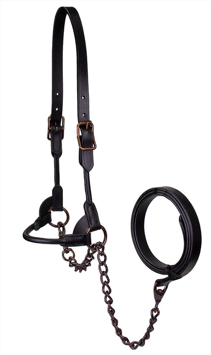 Derby Originals Bronze Beauty Rolled Leather Cattle Show Halter, Small/Medium/Large, Adjustable Fit with 48" Lead and 14" Chain, Durable Bronze Hardware, Ideal for Shows, 1-Year Warranty