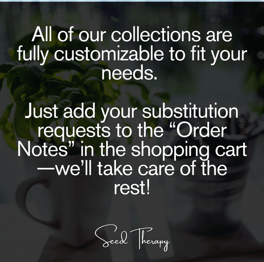 Culinary Herb Seed Collection – 15 Varieties