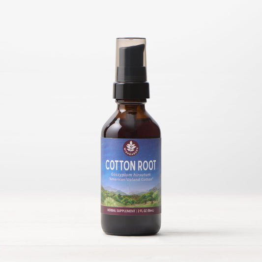 Cotton Root Bark Tincture