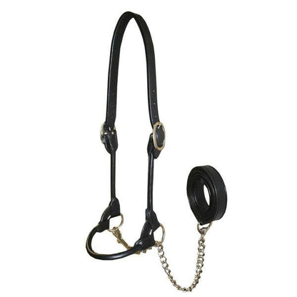 Derby Originals Rolled Leather Cattle Show Halter – Adjustable Fit with 48" Lead and 14" Chain, Small/Medium/Large – 1-Year Warranty