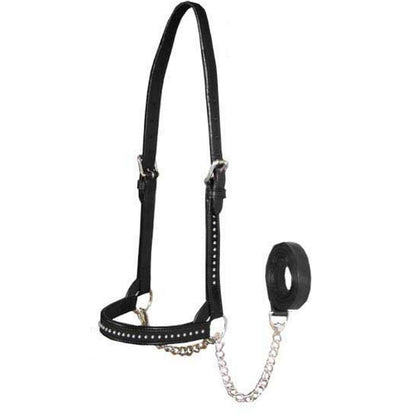 Derby Originals New and Improved Premium Show Spotted Flat Leather Cattle Show Halter, Small/Medium/Large, Adjustable Fit with 48" Lead and 14" Chain, Durable Hardware, 1-Year Warranty