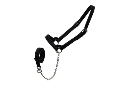 Derby Originals Premium Fancy Stitch Flat Leather Cattle Show Halter – Adjustable Fit with 48" Lead and 14" Chain, Small/Medium/Large – 1-Year Warranty