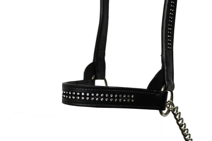 Derby Originals New and Improved Premium Show Spotted Flat Leather Cattle Show Halter, Small/Medium/Large, Adjustable Fit with 48" Lead and 19.5" Chain, Elegant Show Spots, 1-Year Warranty