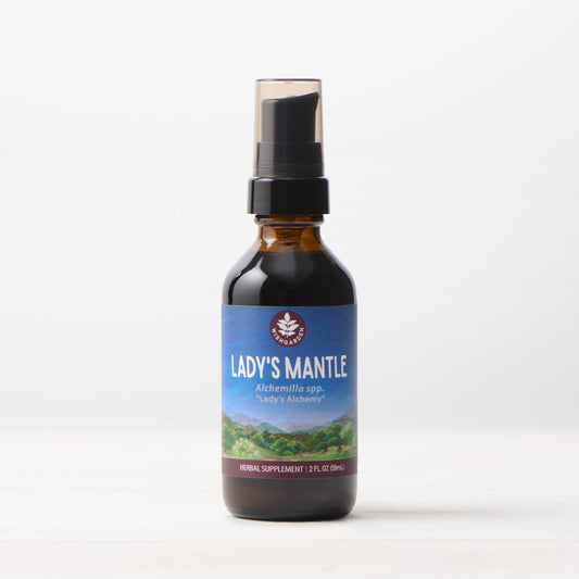 Lady's Mantle Tincture