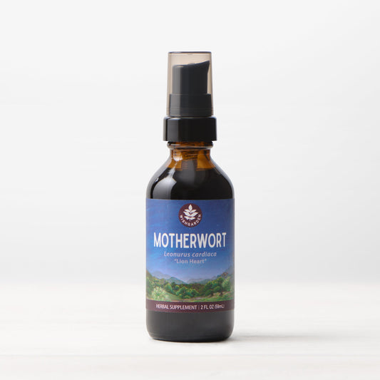 Motherwort Tincture