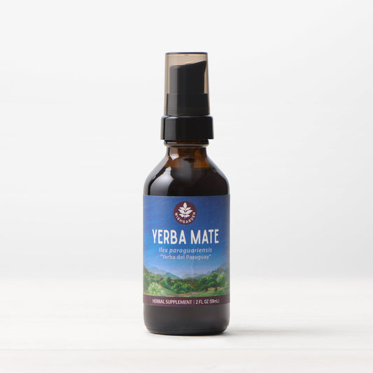 Yerba Mate Tincture