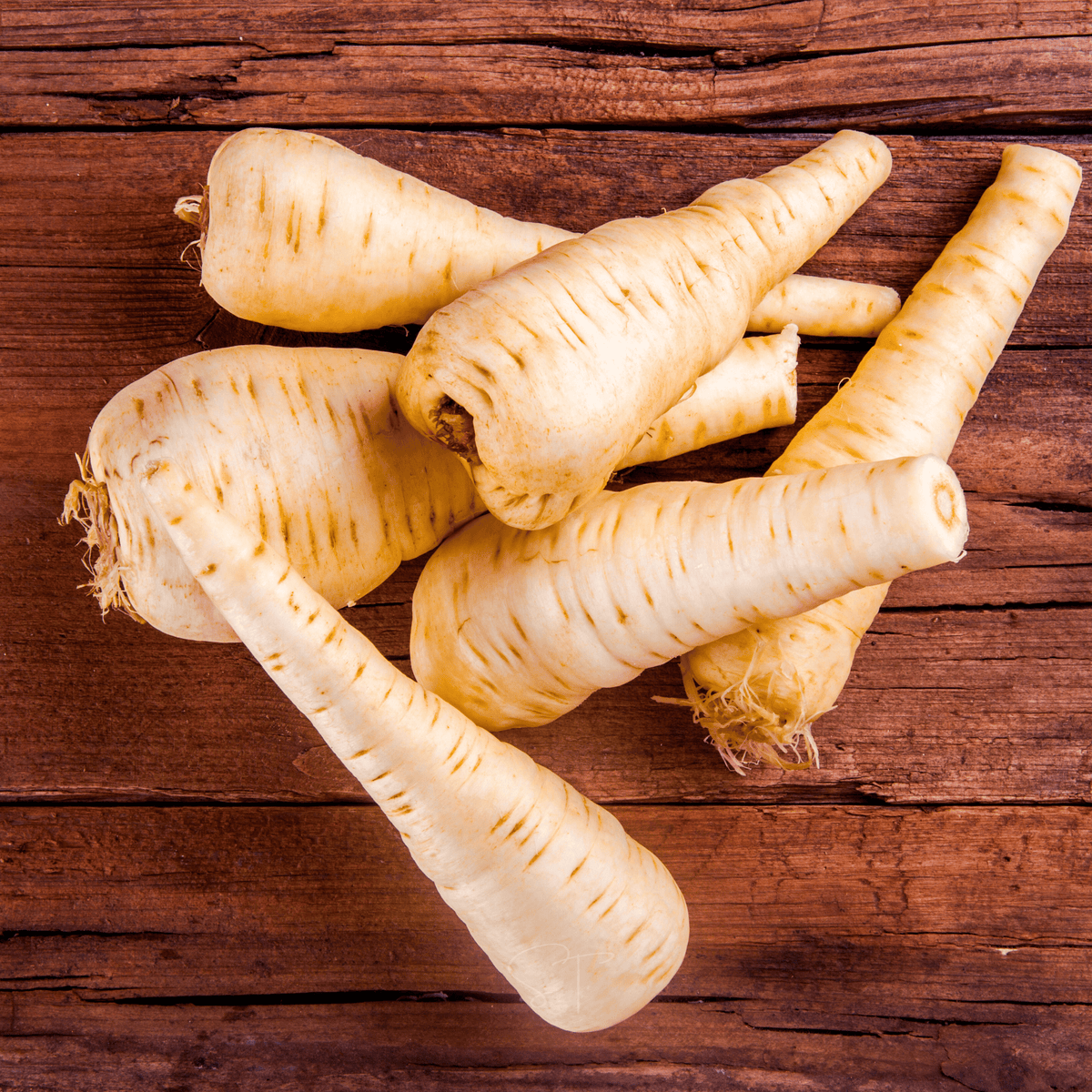 All American Parsnip – 100 Seeds