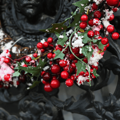 American Holly – 50 Seeds