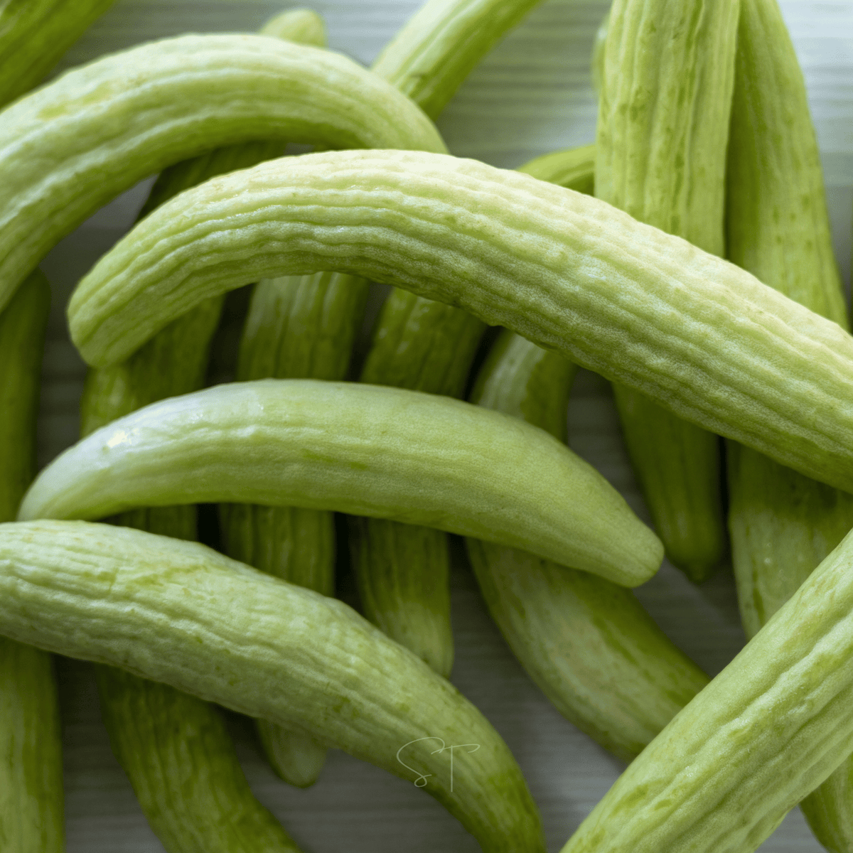 Armenian Yard-Long Cucumber – 30 Seeds
