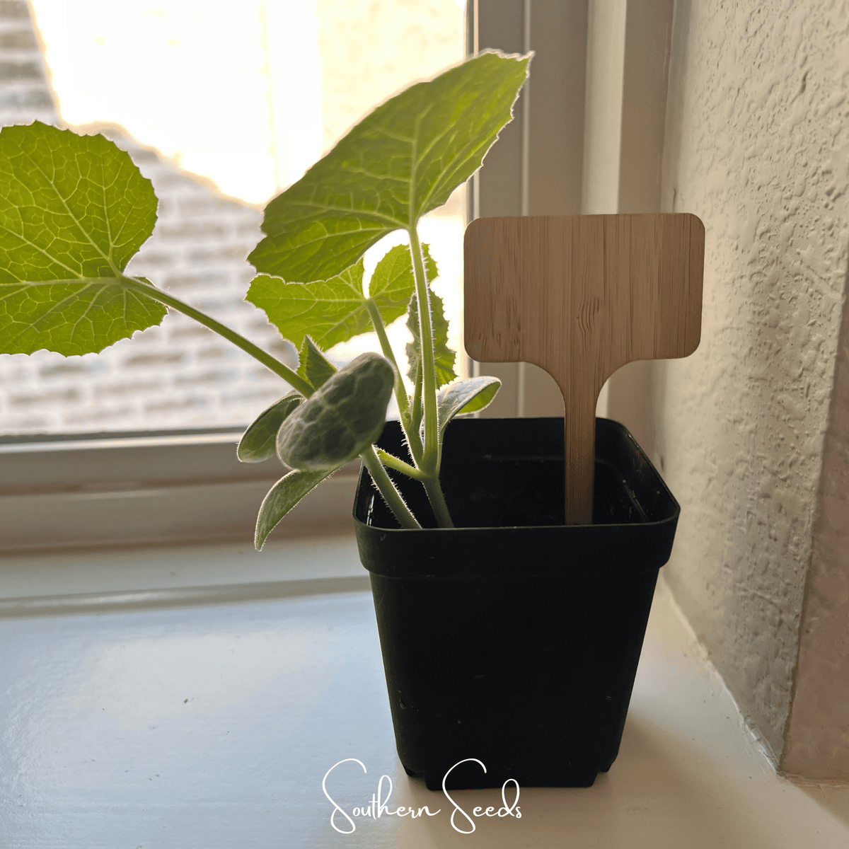 Bamboo Plant Markers – 5 Count