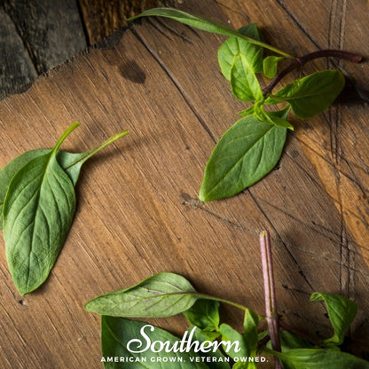 Licorice Basil – 250 Seeds
