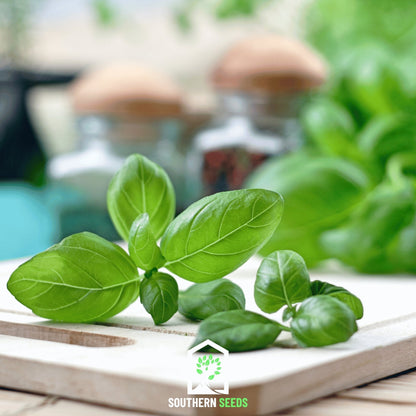 Sweet Basil – 250 Seeds