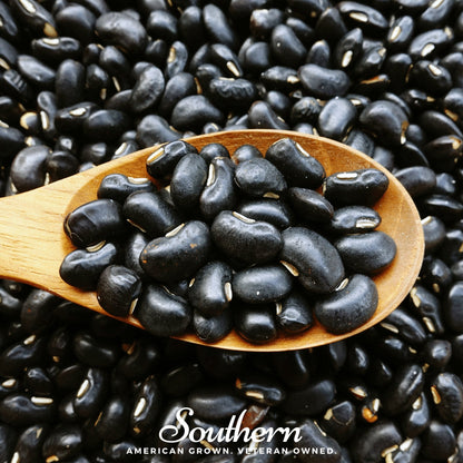 Black Coco Bean (Bush) – 30 Seeds