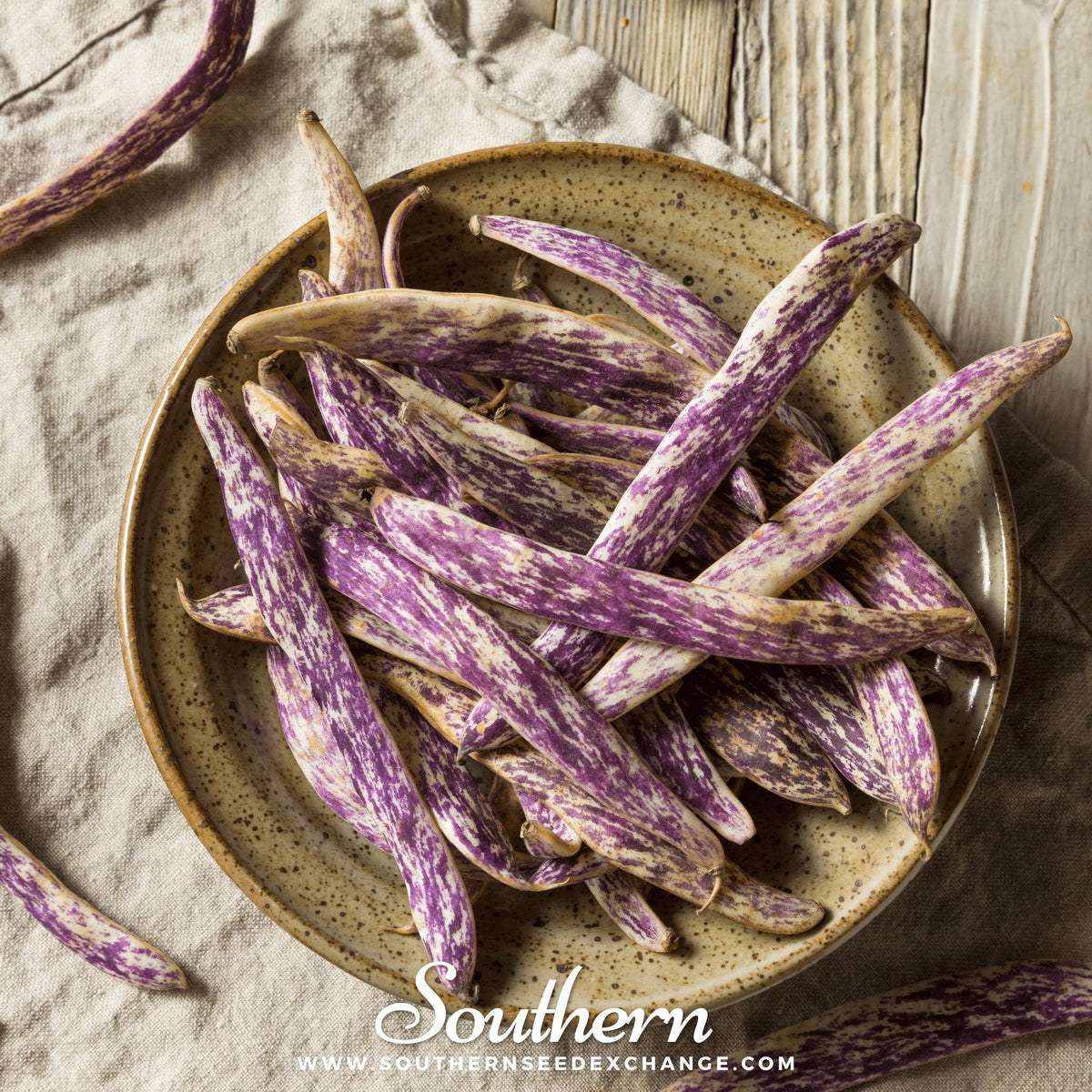 Dragon's Tongue Bean (Bush) – 20 Seeds