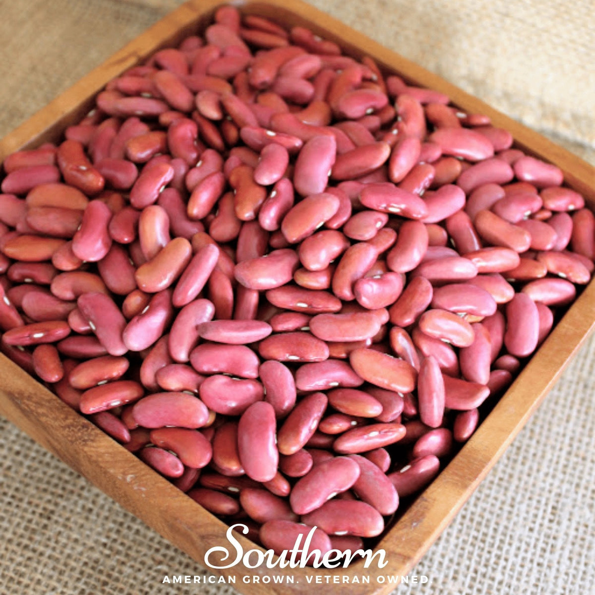Light Red Kidney Bean (Bush) – 20 Seeds
