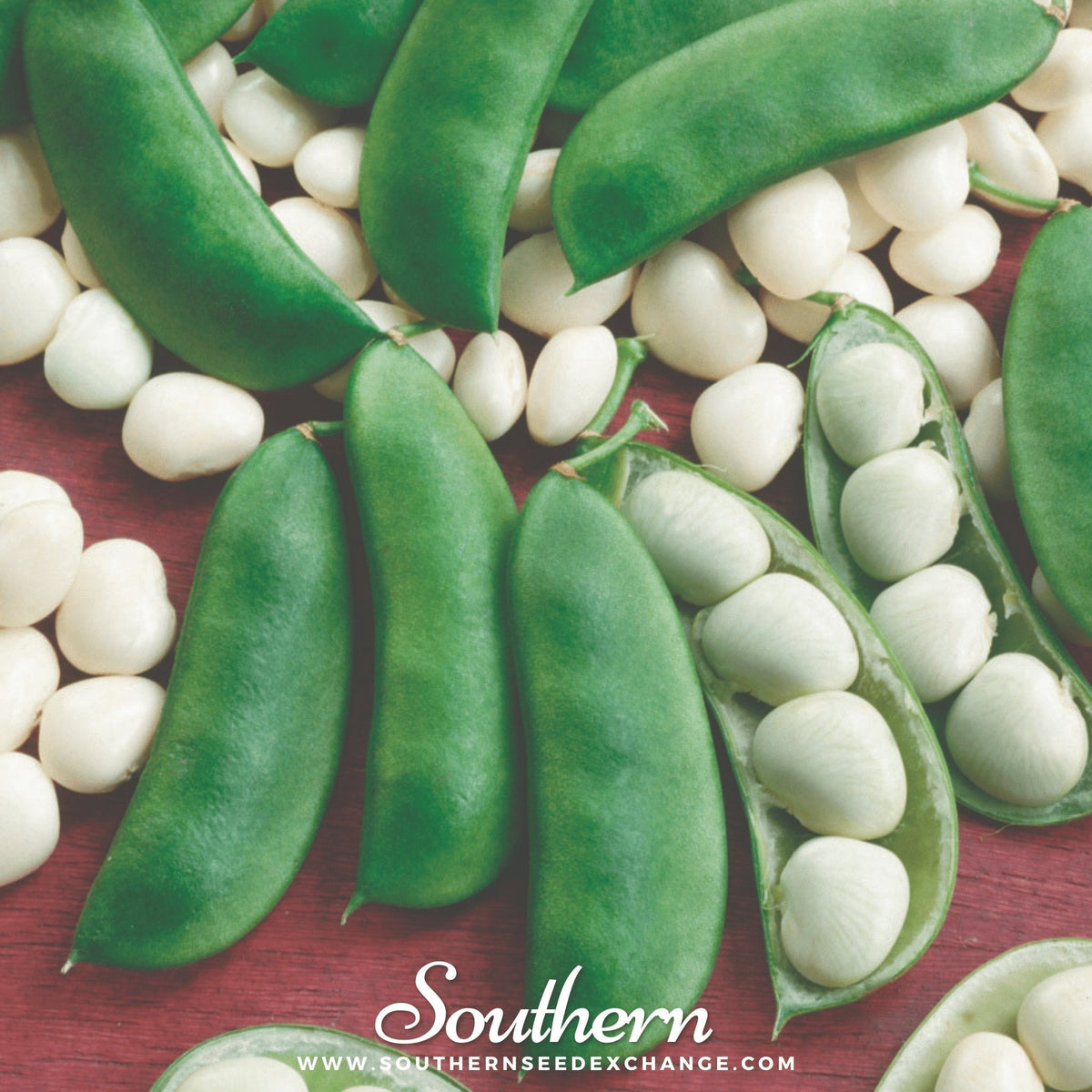 Henderson Lima Bean (Pole) – 15 Seeds