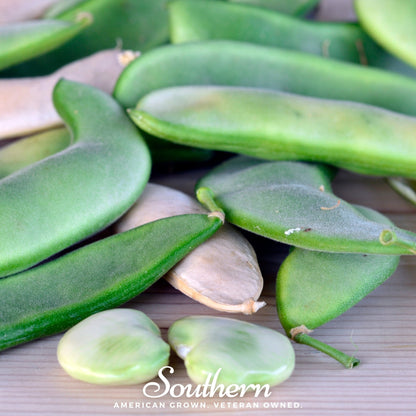 White Dixie Butterpeas Lima Bean (Bush) – 15 Seeds