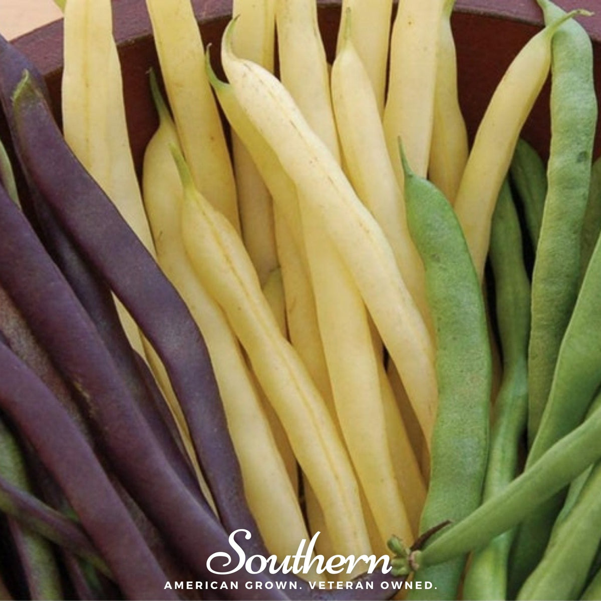 Multicolored Mix Lima Bean (Pole) – 30 Seeds