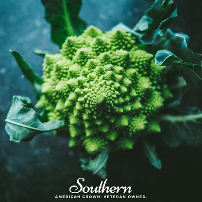 Romanesco Broccoli – 100 Seeds