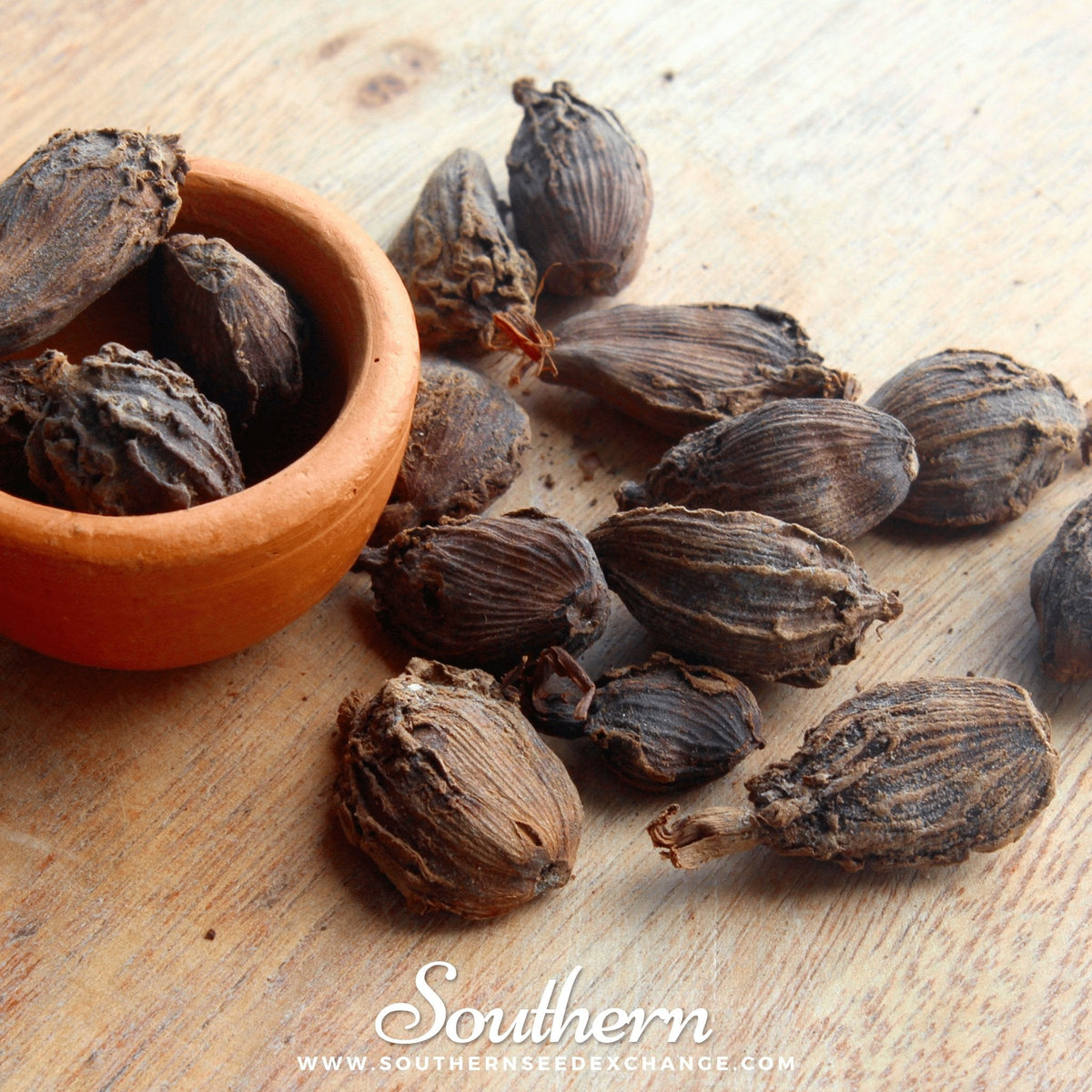 Black Cardamom – 10 Seeds