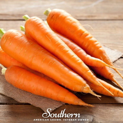 Scarlet Nantes Carrot – 250 Seeds