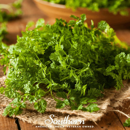 Curled Chervil – 200 Seeds