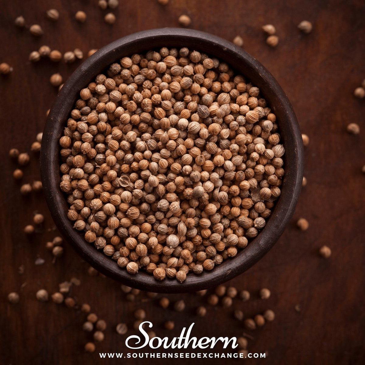Santo Cilantro – 100 Seeds