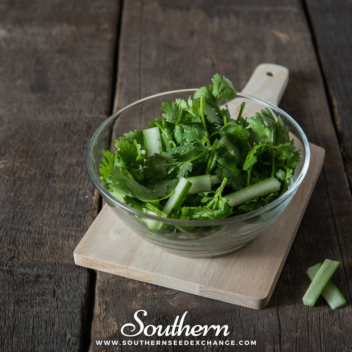 Santo Cilantro – 100 Seeds