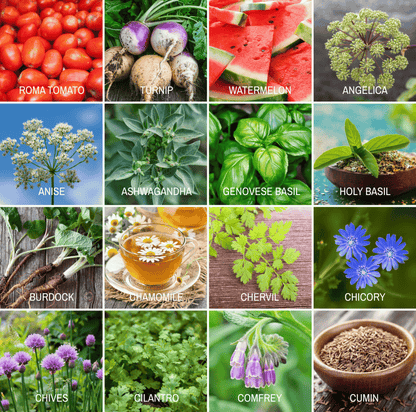 Community Garden Survival Seed Vault – 120 Seed Varieties