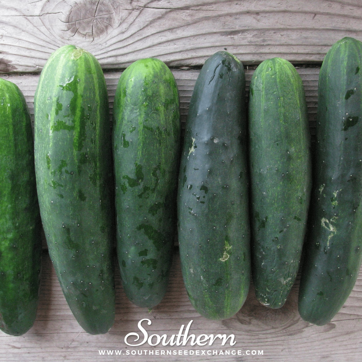 Marketmore 76 Cucumber – 30 Seeds