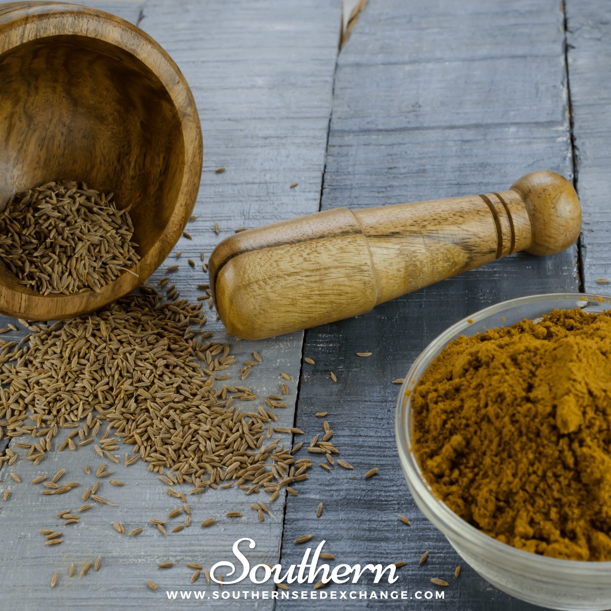 Cumin – 100 Seeds