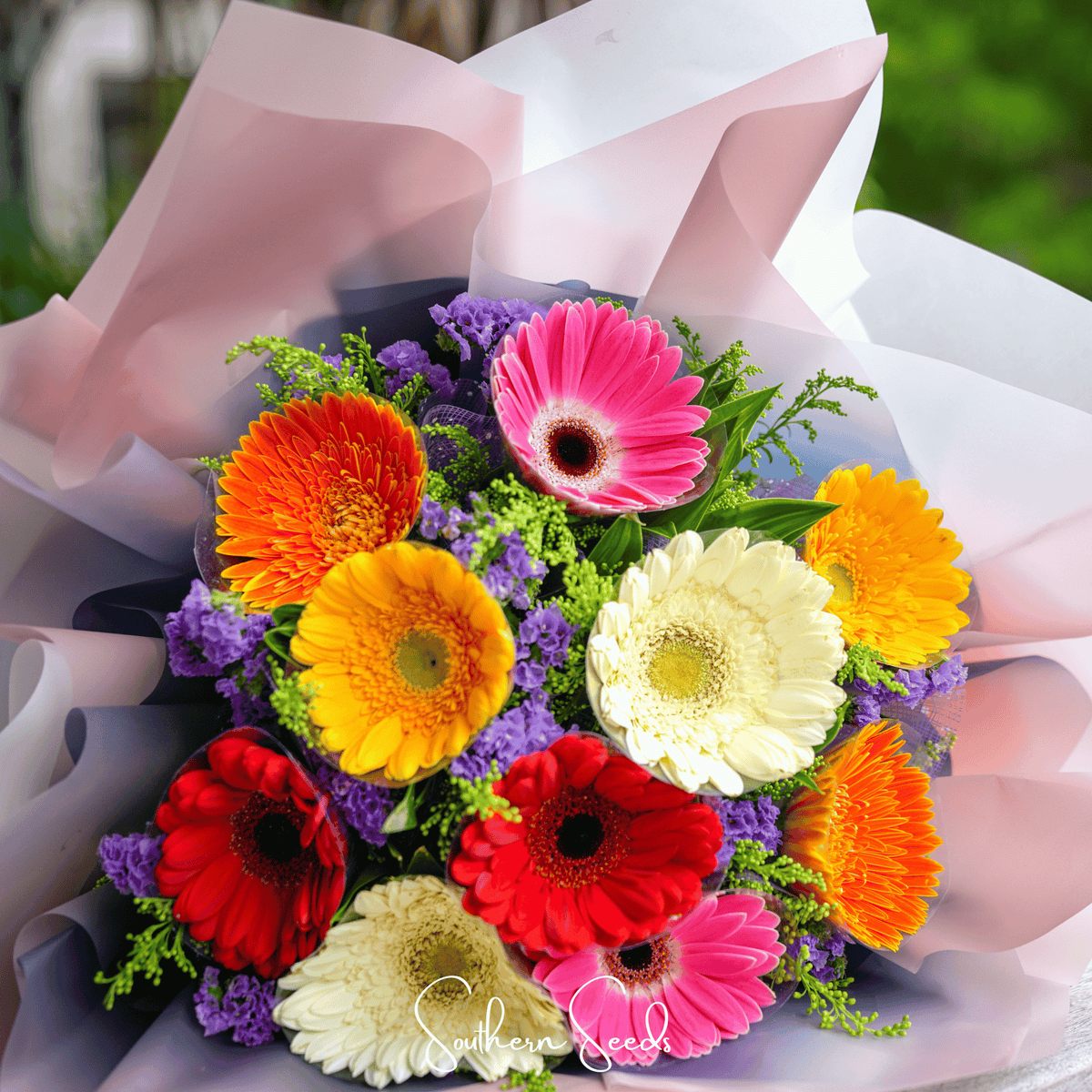 Gerbera Daisy Mix – 20 Seeds