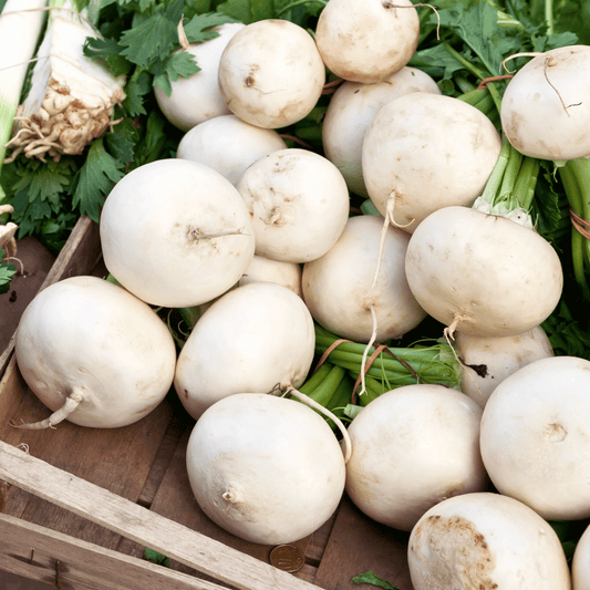 Detroit White Beet – 200 Seeds