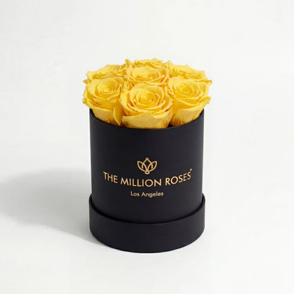 Essence Black Box | Yellow Roses