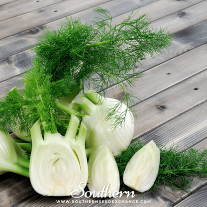 Florence Fennel – 200 Seeds