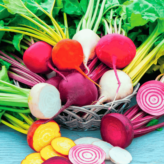 Gourmet Blend Beet – 50 Seeds