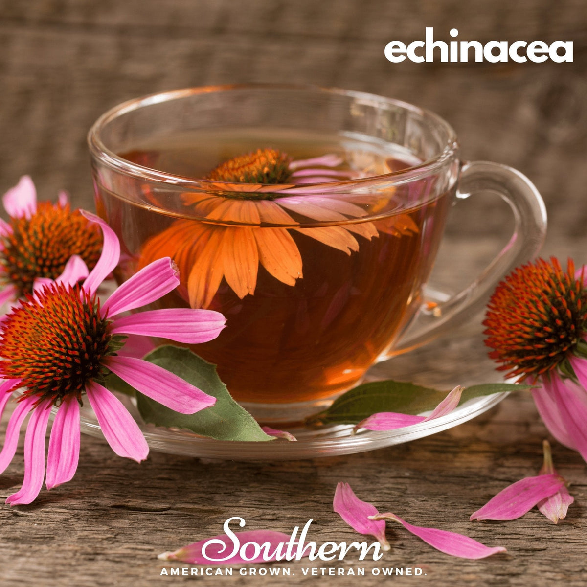 Herbal Tea Seed Collection – 6 Varieties