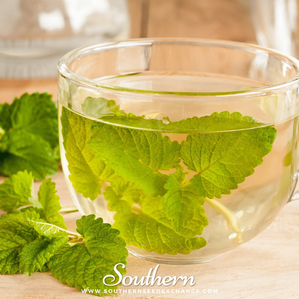 Lemon Balm – 100 Seeds