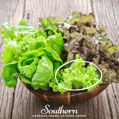 Green Ice Lettuce – 500 Seeds