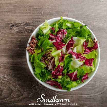 Mesclun Mix Lettuce – 500 Seeds