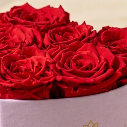 Baby Heart Light Pink Box | Red Roses