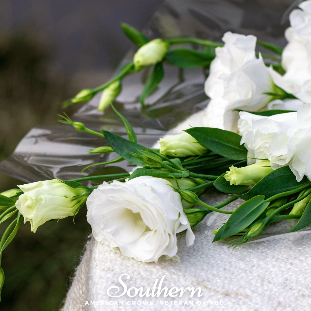 Sapphire White Lisianthus – 25 Seeds